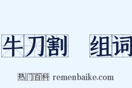 牛刀割鷄组词是什么意思的图片